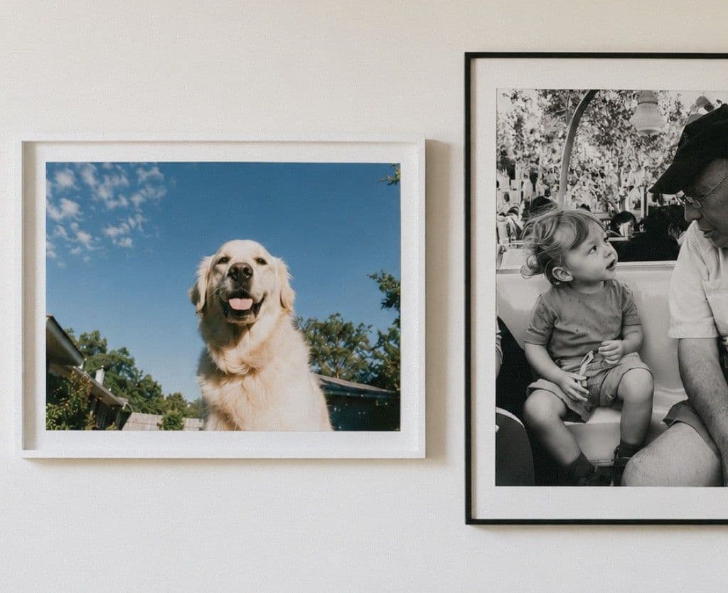 Framed family photos on a wall